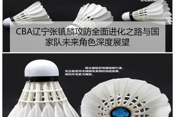 CBA辽宁张镇麟攻防全面进化之路与国家队未来角色深度展望