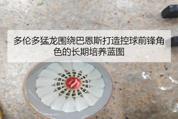 多伦多猛龙围绕巴恩斯打造控球前锋角色的长期培养蓝图